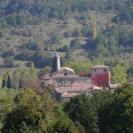 Chateau De Camon Camon  Luaran gambar