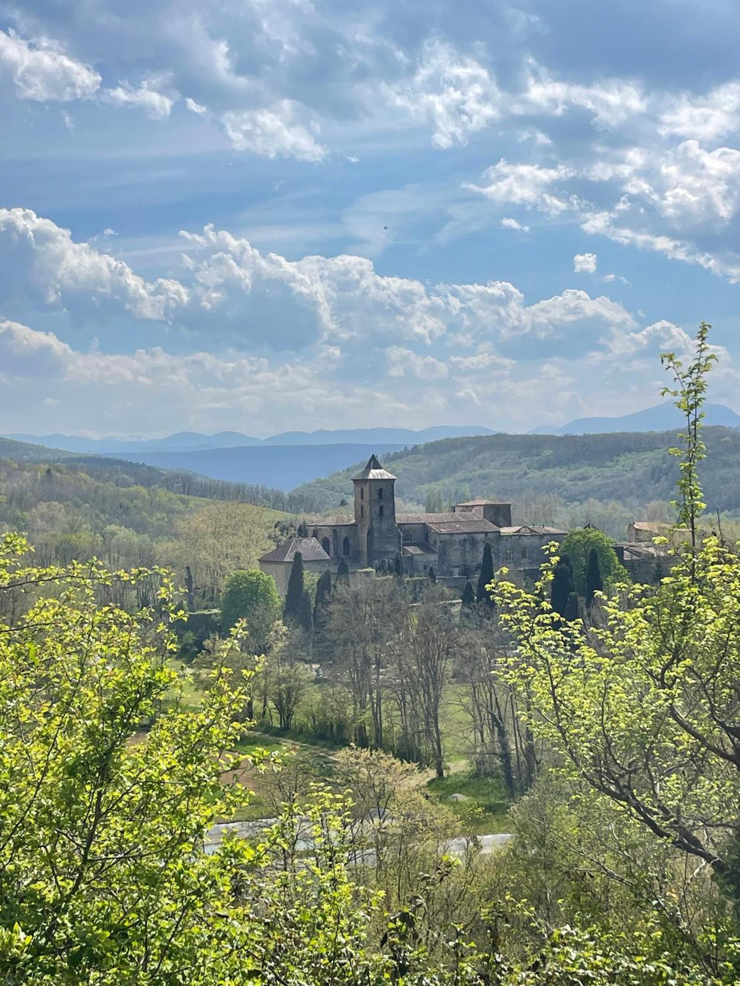Chateau De Camon Camon  Luaran gambar