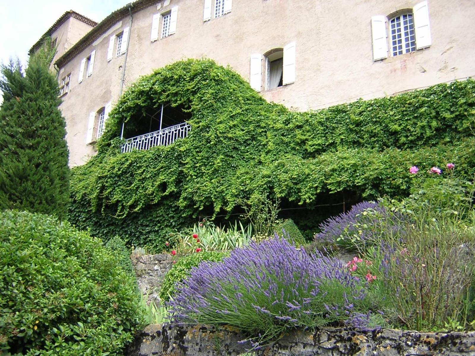 Chateau De Camon Camon  Luaran gambar